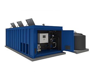 Containerized Plant